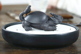 Dragon Turtle Tea Pet